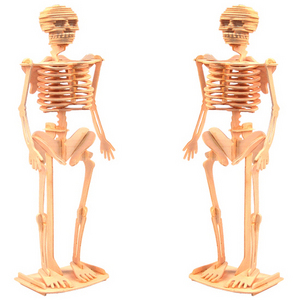3D원목조립모형 만들기(사람,뼈구조, 인체, 3P)-크기 37.5cm / 중급형